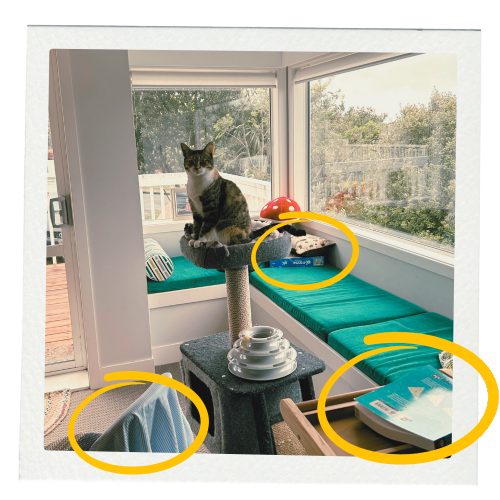 Zone on a cat tree